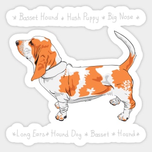 dog Basset Hound Sticker